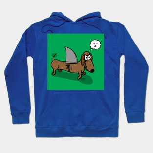 Wiener Dog with a Shark Fin Hoodie